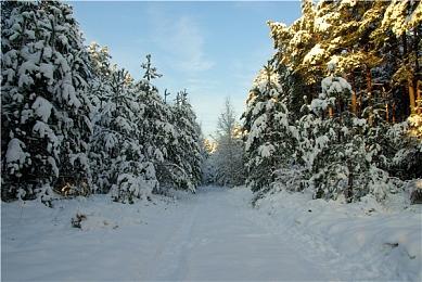 时隔24年 N64大作《007黄金眼》终于在德国解禁